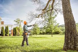 Pest Control for Lawns in Anacortes, WA